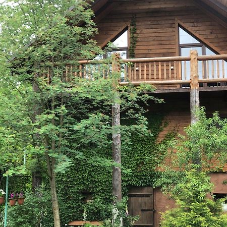 Галіція Villa Beloberezka Bagian luar foto