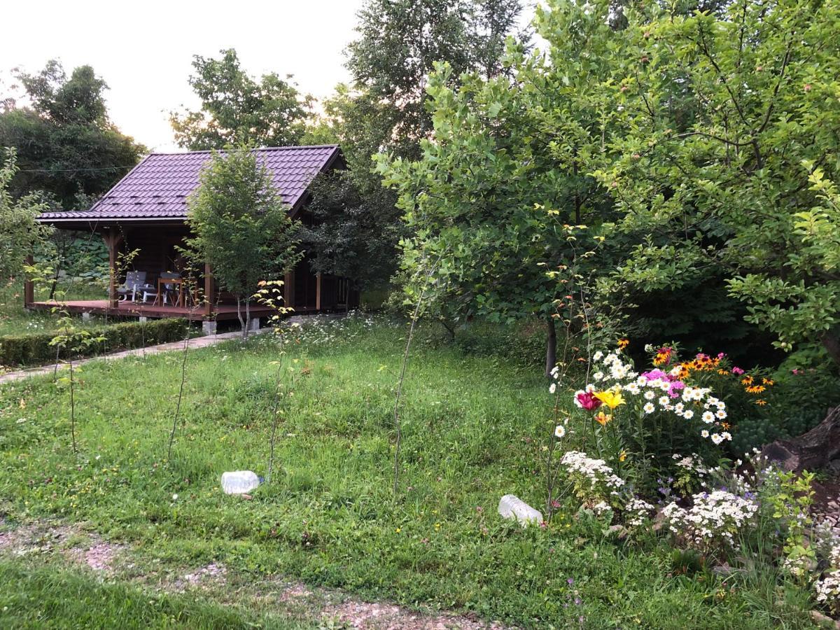 Галіція Villa Beloberezka Bagian luar foto